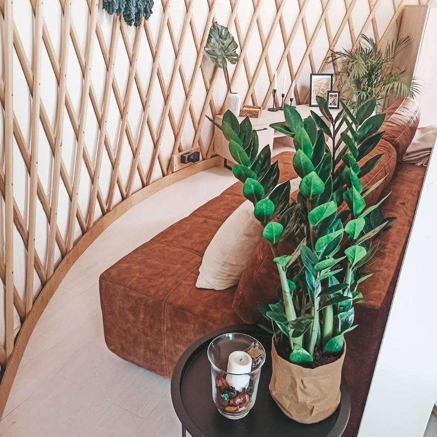 Jurty Glamping Luxuszelt *