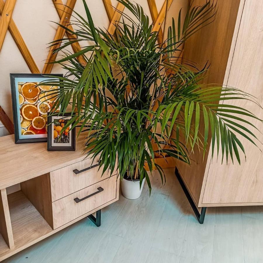 Luxuszelt Jurty Glamping