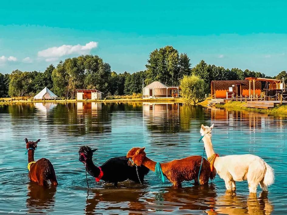 Jurty Glamping Luxuszelt Gostynin